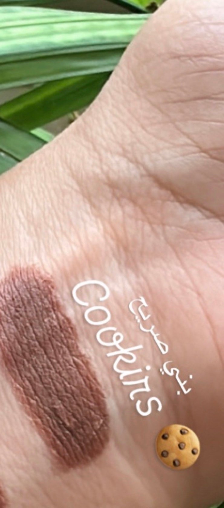 Lip Contour (cookies) creamy Lip Pencil